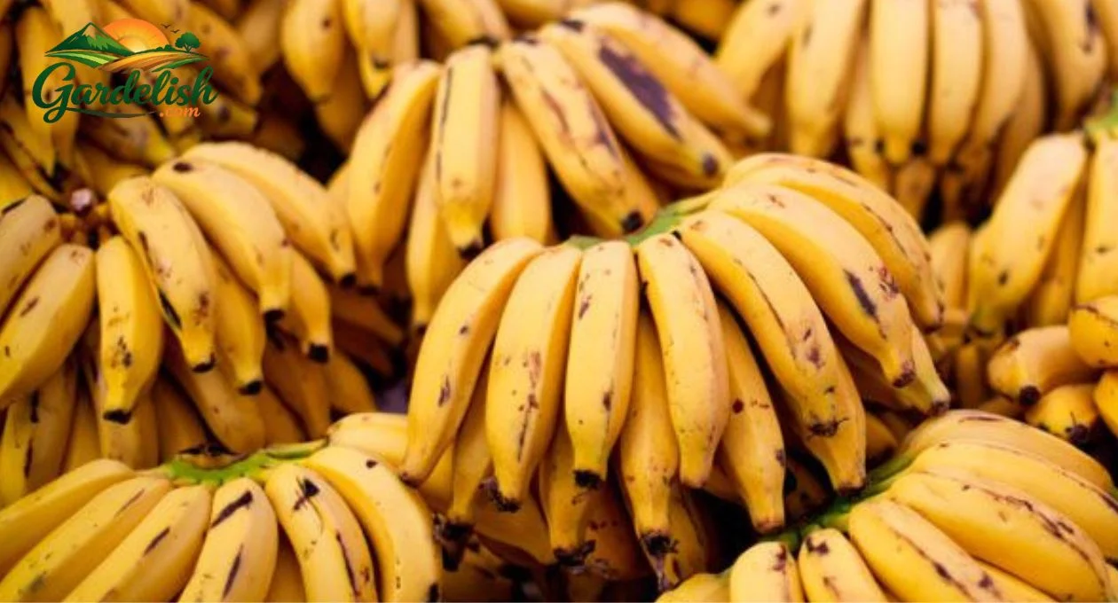 banana shortage (1)