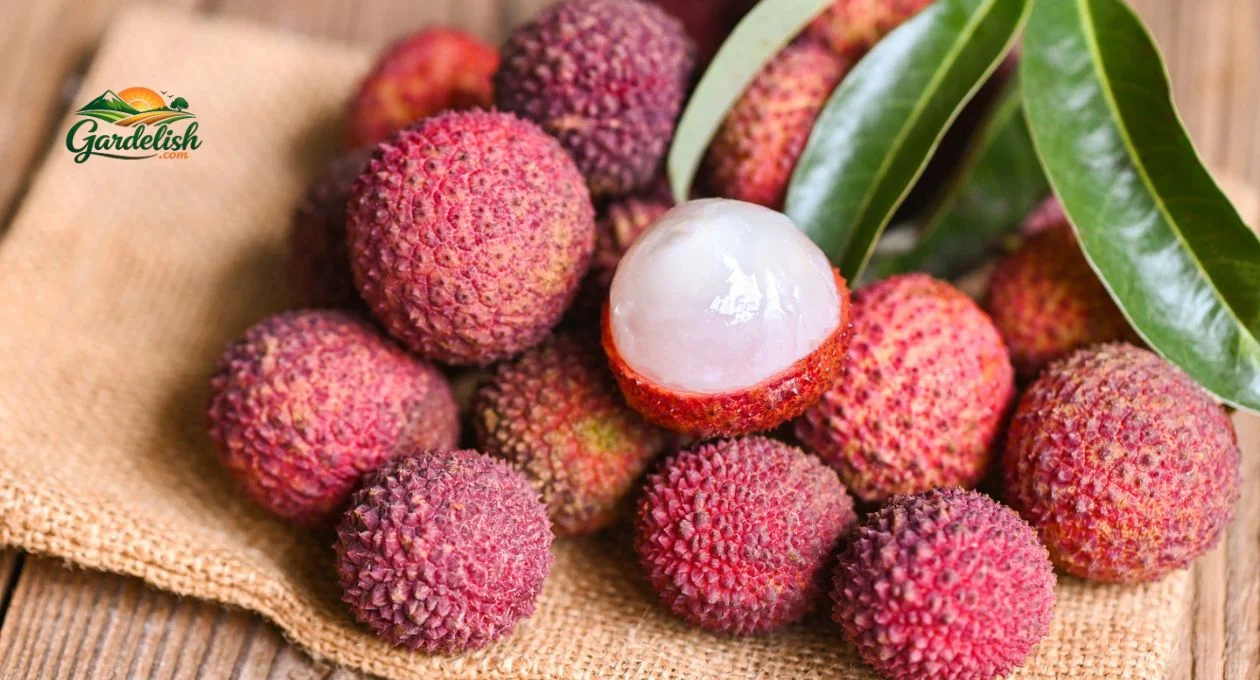 fruit similar to lychee (1)