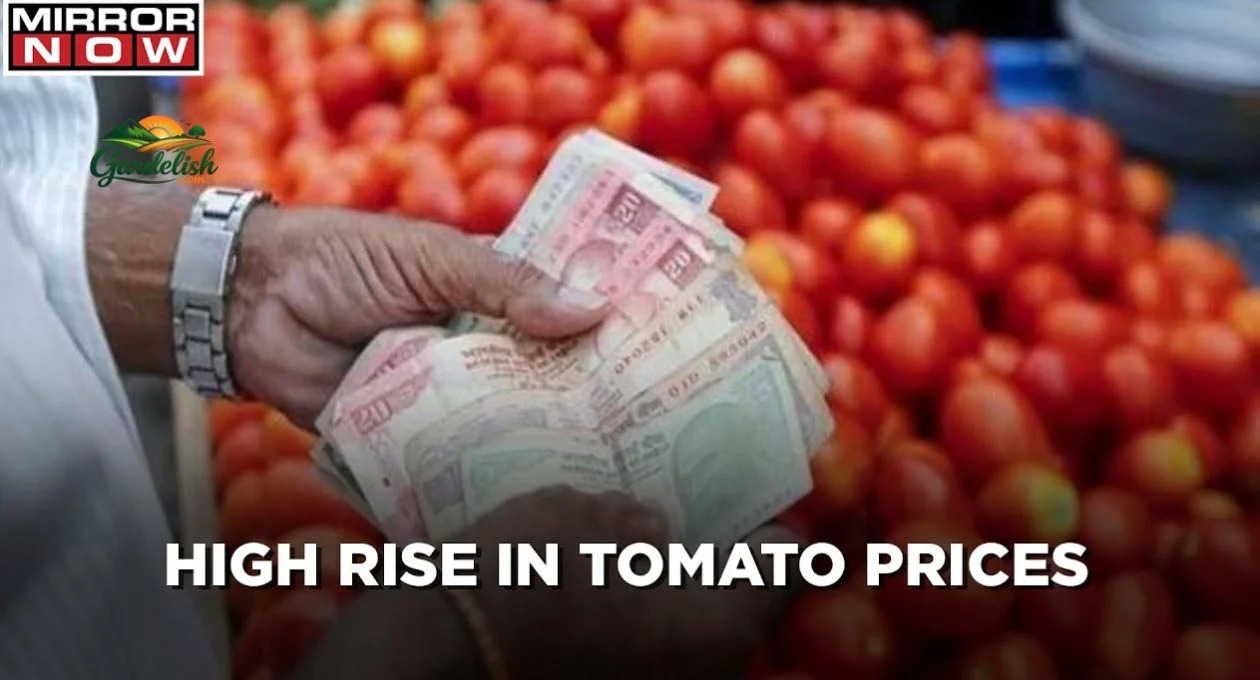 tomatoes shortage (1)