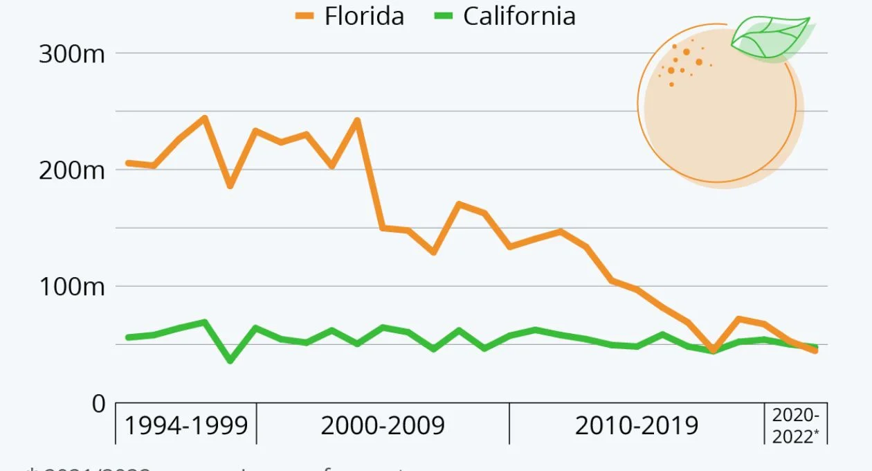 Florida orange crop update