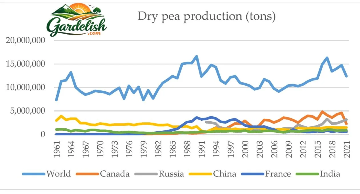 Pea Shortage