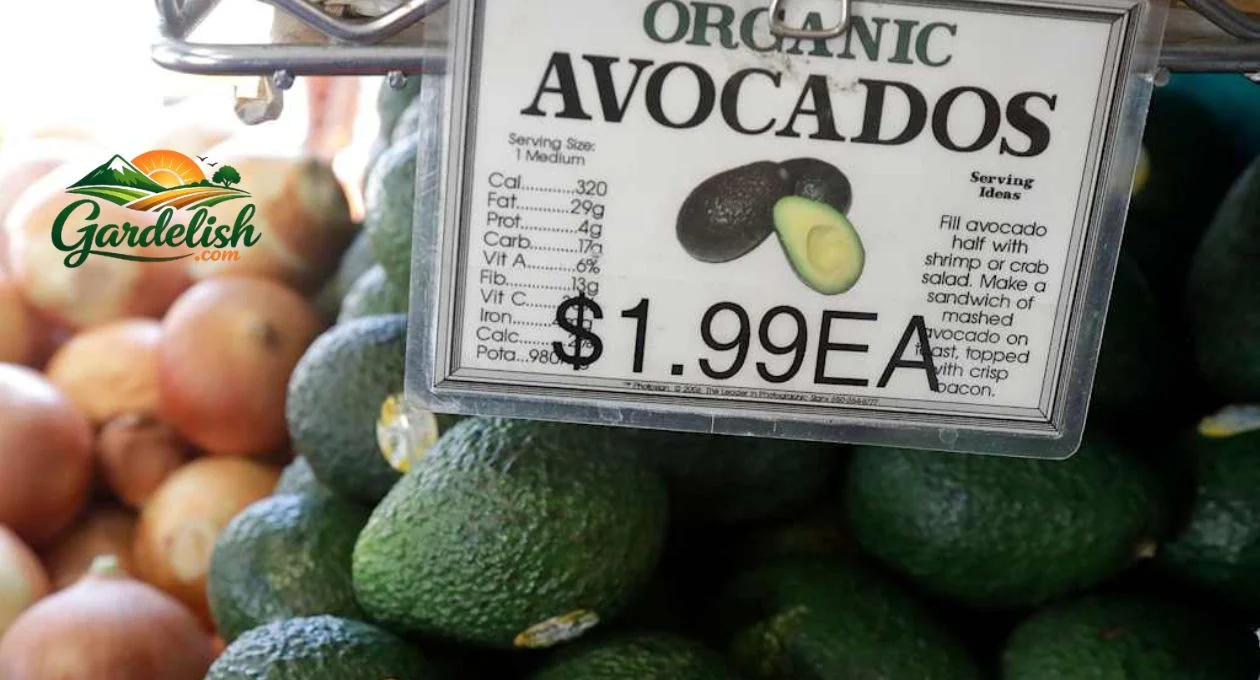 avocado shortage (1)