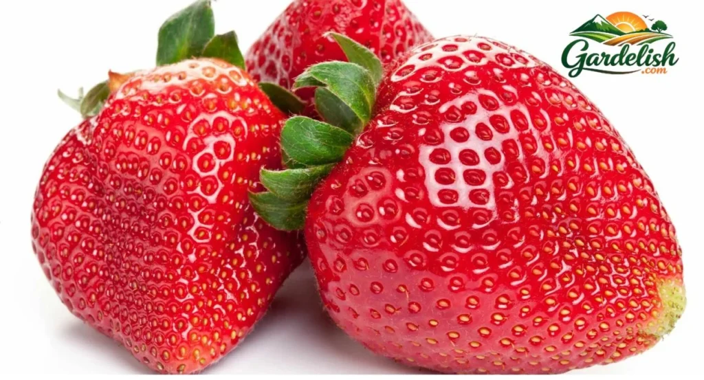 Strawberry shortage