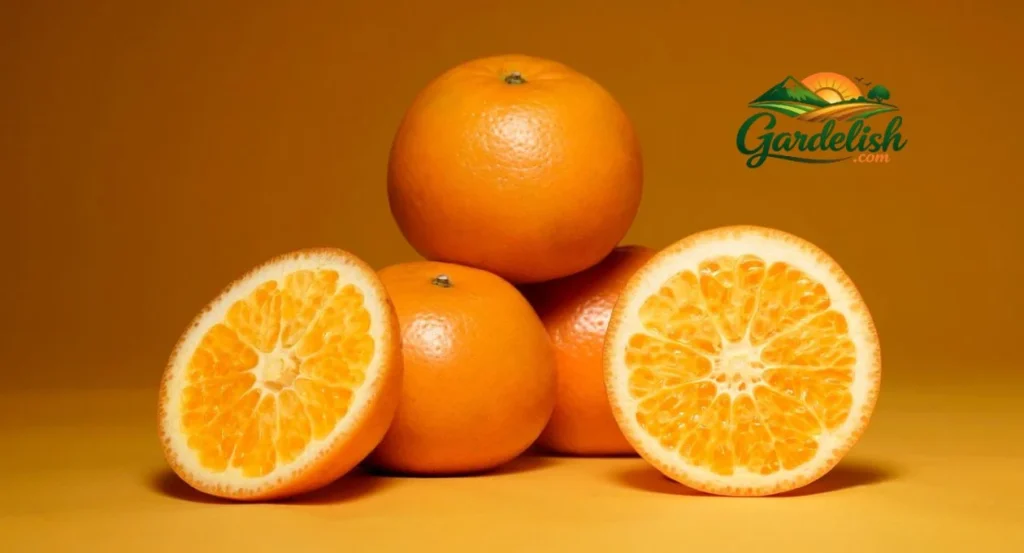 orange shortage (1)