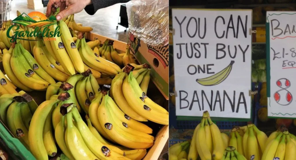 banana shortage