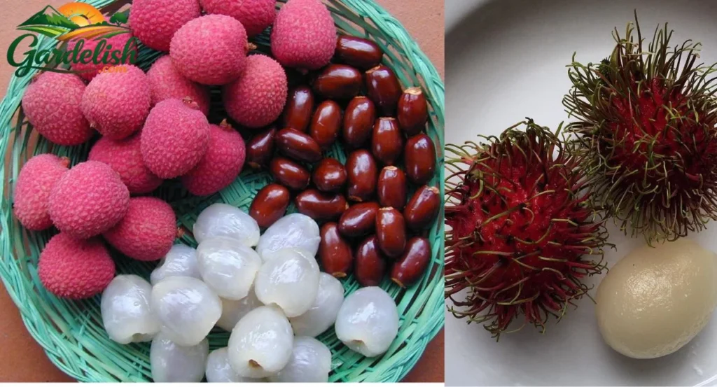 fruit similar to lychee