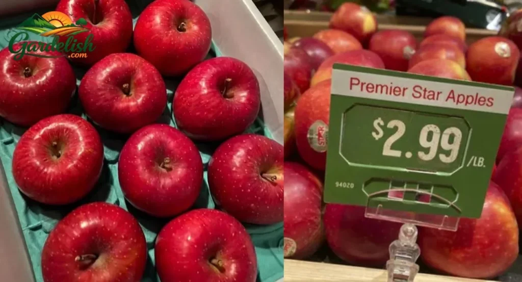 Apple prices rising