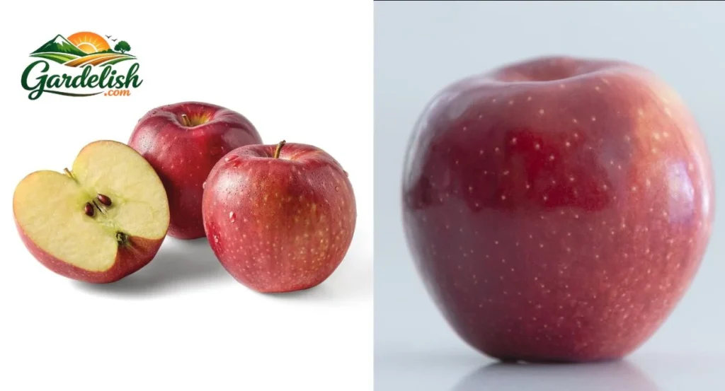 Cosmic Crisp Apple Lawsuit