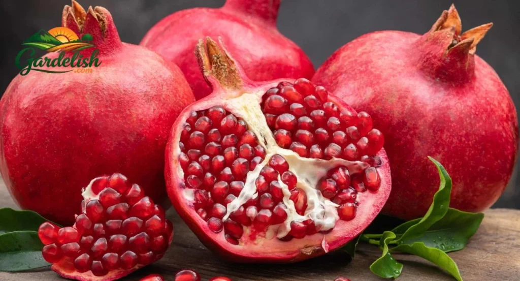 Pomegranate Shortage