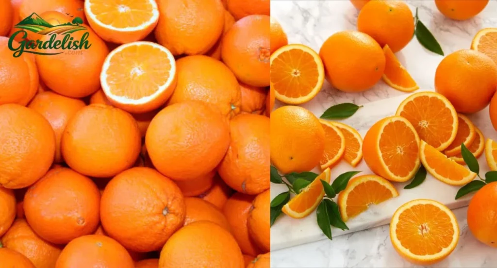 Why are oranges so expensive