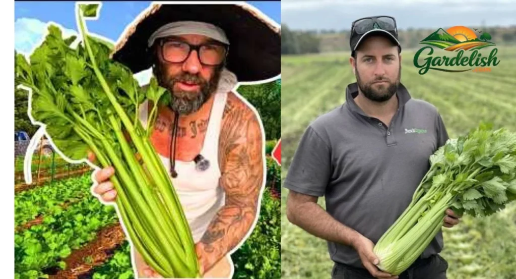 celery shortage (1)